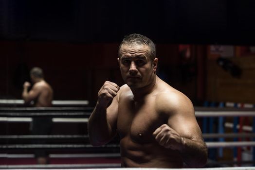 professional kickboxer with hands in martial arts position training for the fight in the training ring