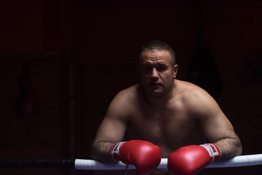 portrait of muscular professional kickboxer who standing in the ring while training for the fight