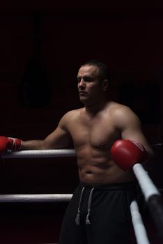 muscular professional kick boxer resting on the ropes in the corner of the ring while training for the next match