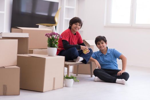 portrait of happy young boys with cardboard boxes around them in a new modern home