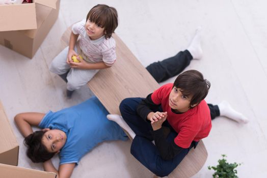 portrait of happy young boys with cardboard boxes around them in a new modern home top view