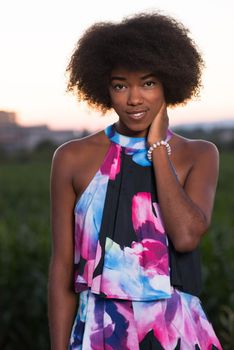 portrait of a young beautiful African American women on a warm summer evening in summer dress with a smile on her face