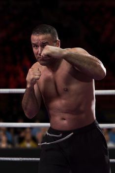 professional kickboxer with hands in martial arts position training for the fight in the training ring