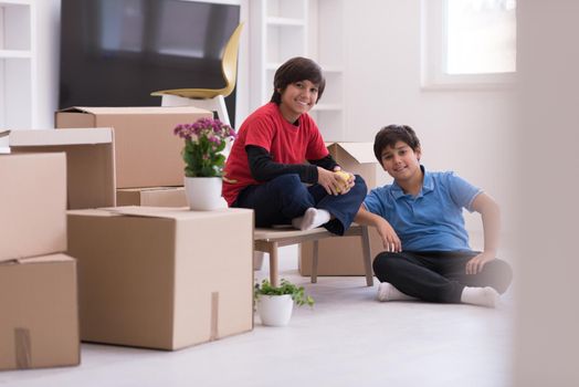 portrait of happy young boys with cardboard boxes around them in a new modern home