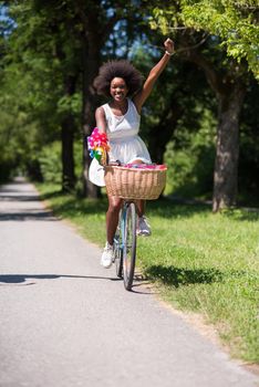 beautiful young African American women enjoy while riding a bicycle in the woods on a sunny summer day