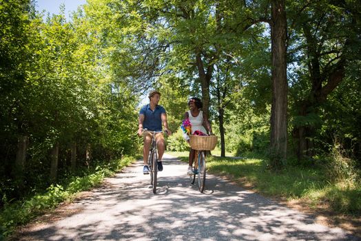 a young man and a beautiful African American girl enjoying a bike ride in nature on a sunny summer day