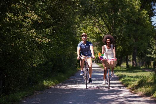 a young man and a beautiful African American girl enjoying a bike ride in nature on a sunny summer day