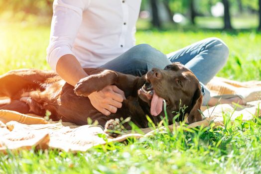 The dog lies in the park next to its owner. Spending time with friends