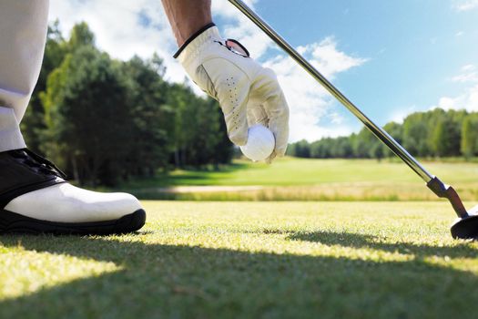 Hand putting golf ball on tee in golf course