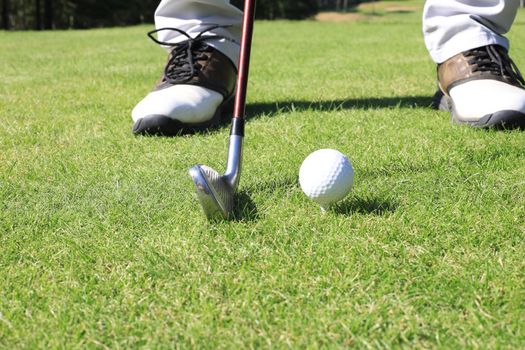 Golf player at the putting green hitting ball into a hole