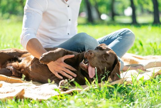 The dog lies in the park next to its owner. Spending time with friends