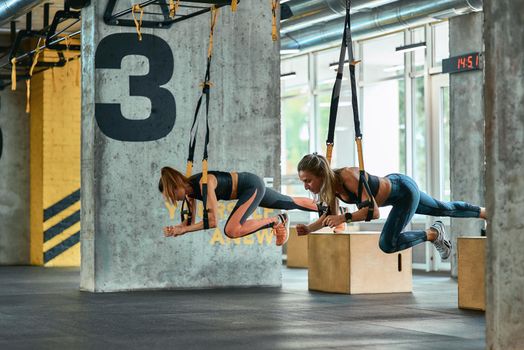 Two young athletic girls exercising with trx fitness straps at gym. Sport, partner workout, wellness and healthy lifestyle