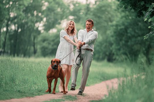 young husband and his wife with their pet dog on a walk in the Park . the concept of a healthy lifestyle