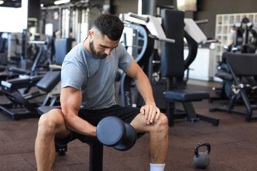 Fit and muscular man doing biceps workouts with dumbbells in gym, copy space