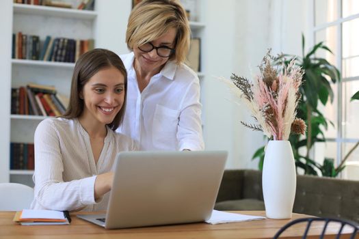 Two female collegues working with laptop and discussing new project