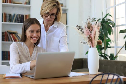 Two female collegues working with laptop and discussing new project