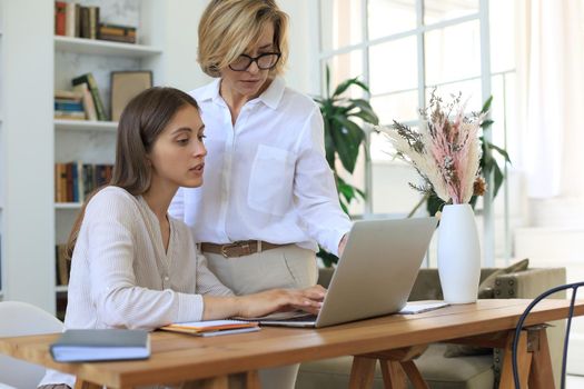 Two female collegues working with laptop and discussing new project