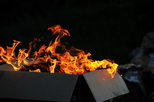 wild fire flames burn hot with black background