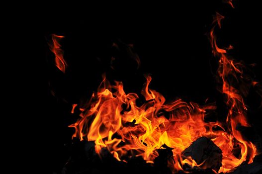 wild fire flames burn hot with black background