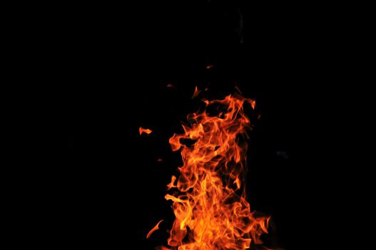 wild fire flames burn hot with black background