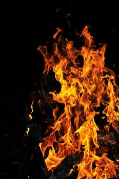 wild fire flames burn hot with black background