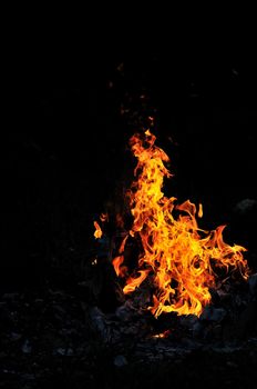 wild fire flames burn hot with black background