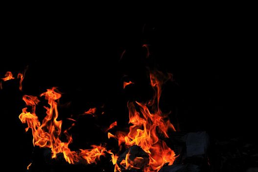 wild fire flames burn hot with black background