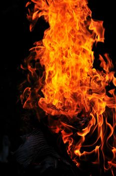 wild fire flames burn hot with black background