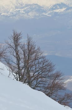 beautiful winter season landscape with ice snow and hard winds