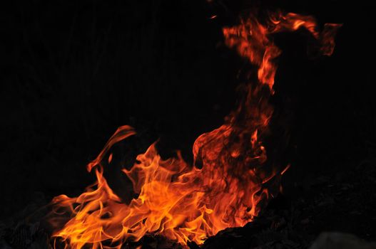 wild fire flames burn hot with black background