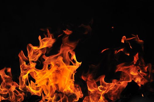 wild fire flames burn hot with black background