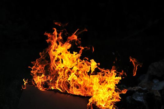 wild fire flames burn hot with black background