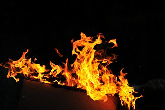 wild fire flames burn hot with black background