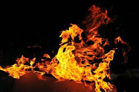 wild fire flames burn hot with black background