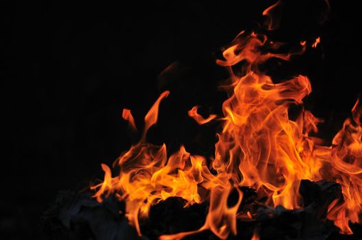 wild fire flames burn hot with black background