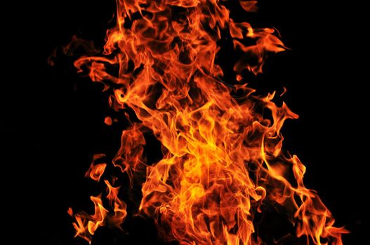 wild fire flames burn hot with black background