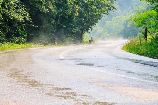 country side road in green forest after rain