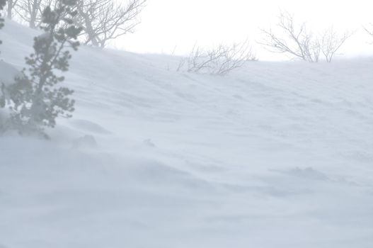 beautiful winter season landscape with ice snow and hard winds