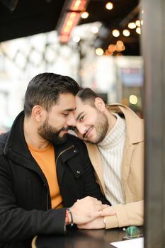 Two happy caucasian young gays sitting and hugging, holding hands. Concept of same sex couple and lgbt.