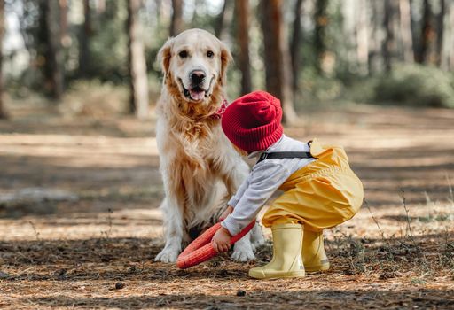 Little girl playing with golden retriever dog using rubber toy in the autumn forest. Cute female kid with doggie pet outdoors