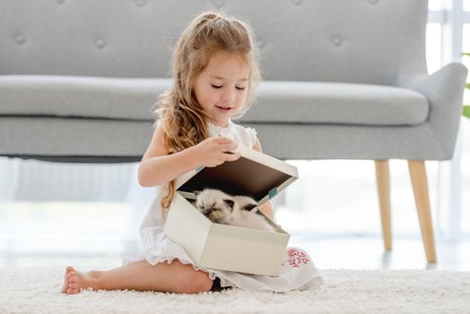 Child girl with ragdoll kitten in gift box. Little female person with surprise and kitty pet at home