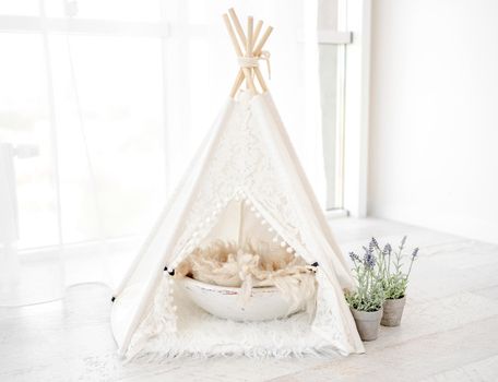 Beautiful white hut house decoration with basin and flowers for domestic pets photosession in light room. Stylish cute furniture wigwam for cat, dog and rabbit studio photos