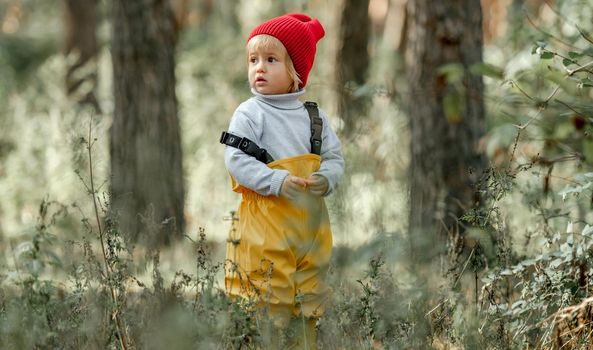 Little child standing at autumn park wearing red hat and looking back. Pretty kid at nature portrait
