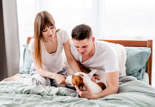 Beautiful couple spend time in the bed together and petting their cute dog. Family morning moments. Attractive girl and guy in the bedroom with pet. Young wife and husband looking at their doggy
