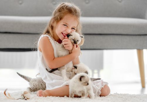Child girl petting ragdoll kittens and smiling. Little female person happy with kitty pets at home