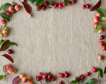 Autumn background of berries, small wild apples, acorns and leaves gray linen textile background. Empty space for text with natural elements