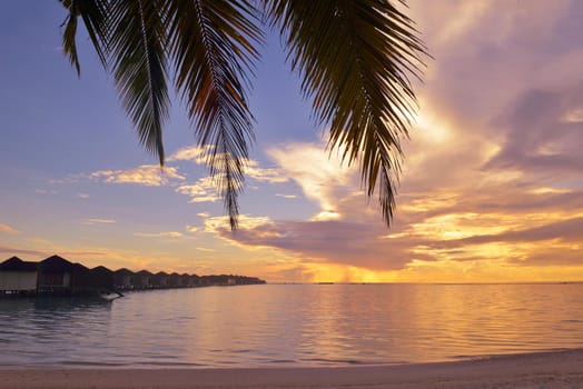 tropical beach with white sand at summer