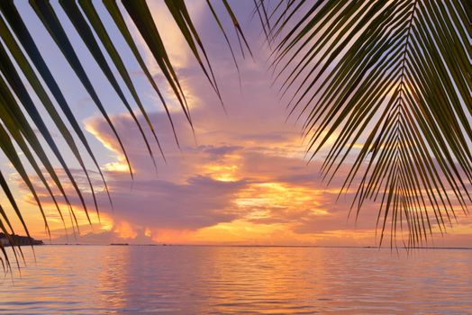 beautiful tropical beach background landscape nature sunset