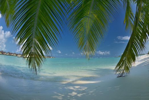 beautiful tropical beach background landscape nature sunset