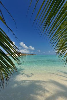 tropical beach nature landscape scene with white sand at summer